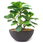 Artificial Fiddle leaf Bonsai Plant with ceramic Pot