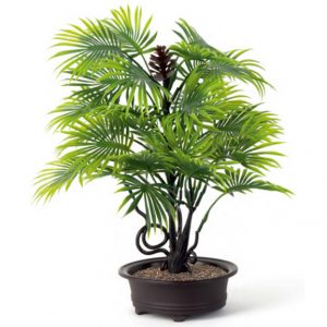 Artificial Bonsai Fan Palm Tree With Oval Tray Pot