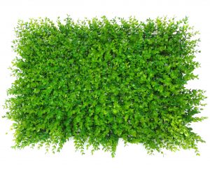 Non UV Artificial Vertical Garden Mat(40X60)cm