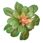 Artificial Green Succulent Plant