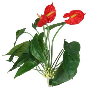 Artificial Red Anthurium Flower Bunch for Decoration