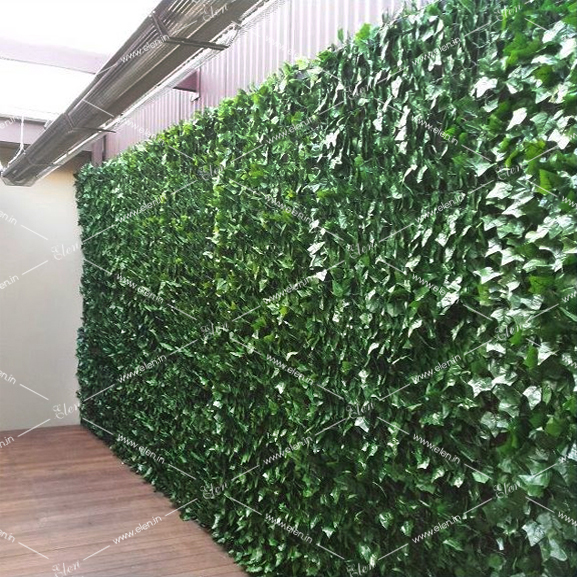 Artificial Money Plant Creeper(180 cm) - Evergreen Bamboo India Pvt Ltd ...