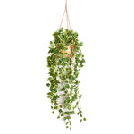 Beautiful Artificial Money Plant Hanging in Cane Basket