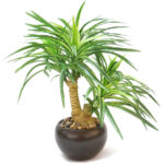 Natural Looking Artificial Yucca Bonsai Plant with Ceramic Pot