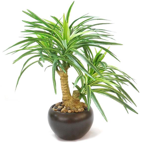 Natural Looking Artificial Yucca Bonsai Plant with Ceramic Pot