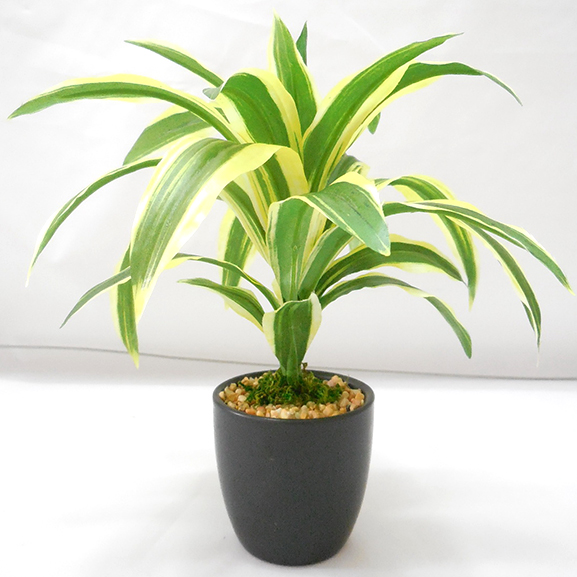 Natural Looking Artificial Dracaena Bonsai Plant with ceramic Pot