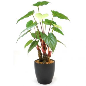 Alocasia Artificial Bonsai Plant with Pot