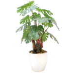Artificial Philodendron Bonsai Plant With Pot