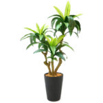 Artificial Dracaena Bonsai Plants With Pot