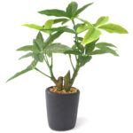 Natural Looking Artificial Pachira Bonsai Plant with ceramic Pot