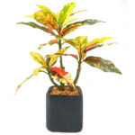 Artificial Croton Bonsai Plant With Pot
