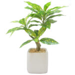 Artificial Croton Bonsai Plant For Decor