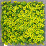 UV Coated Artificial Vertical Garden Mat with Green Leaves and Yellow Flowers (50 X 50 Cm)