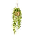 Beautiful Artificial Plant Hanging in Cane Basket