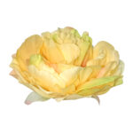 Artificial Yellow Peony Flower Loose Head For Decoration