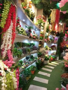 Display Showroom - Gurgaon, Haryana