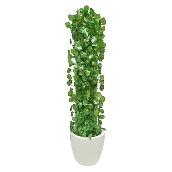 Share 83+ decorative ivy - vova.edu.vn