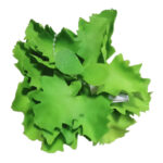 Artificial Green Succulent Plant