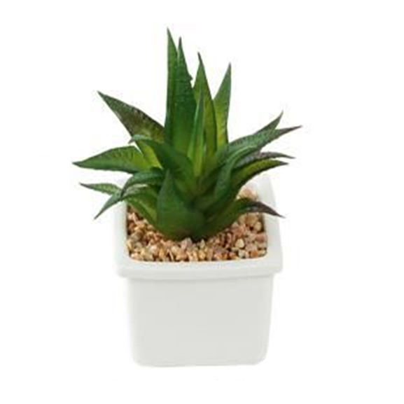 Artificial Aleo Vera Succulent with ceramic Pot