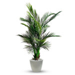 Artificial Areca Palm Plant for Decoration