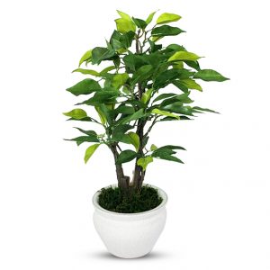 Artificial Ficus Bonsai Plant 33 cm