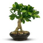 Artificial Ficus Bonsai Plant