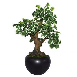 Artificial Polyscia Bonsai Plant with Ceramic Pot