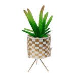 Artificial Cactus succulent Plant with Ceramic Pot