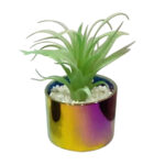 Artificial Senecio Succulent Plant with Ceramic Pot