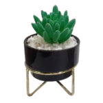 Artificial Stone crop succulent plant with Ceramic Pot