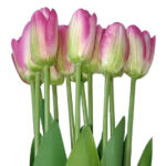 Artificial Tulip Light Pink Flower Bunch