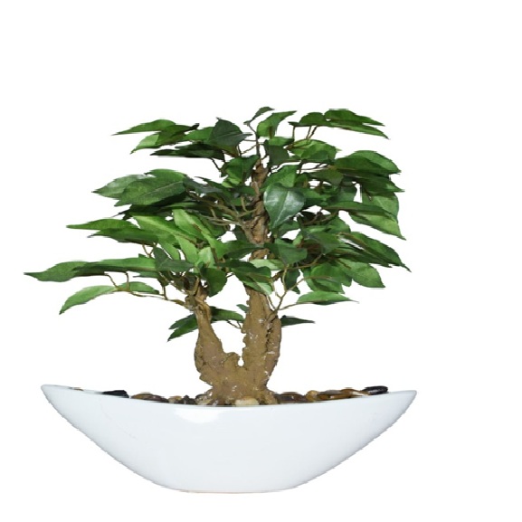 Artificial Ficus Bonsai with Boat Pot