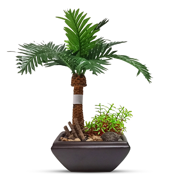 Artificial Phoenix Bonsai Tree with Ceramic Pot