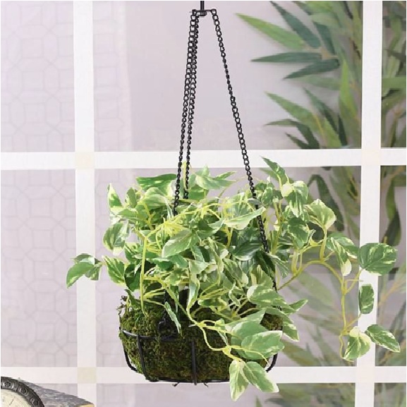 Artificial Hanging Pothos