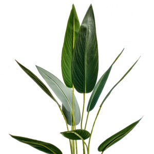 Elen Artificial Bird of Paradise Plant for Home Decoration ( 105 cm)