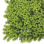 Elen Artificial UV Green Cypress Vertical Walls (50x50cm)