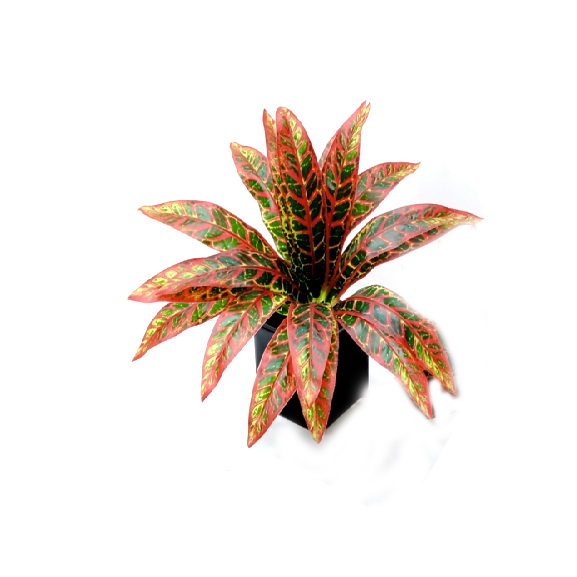 Artificial Croton Bush
