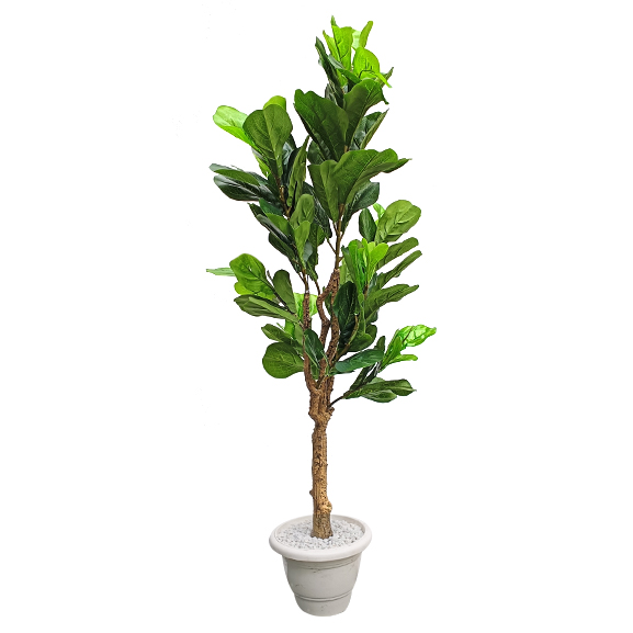 Elen Artificial Fiddle Plant (150 cm)