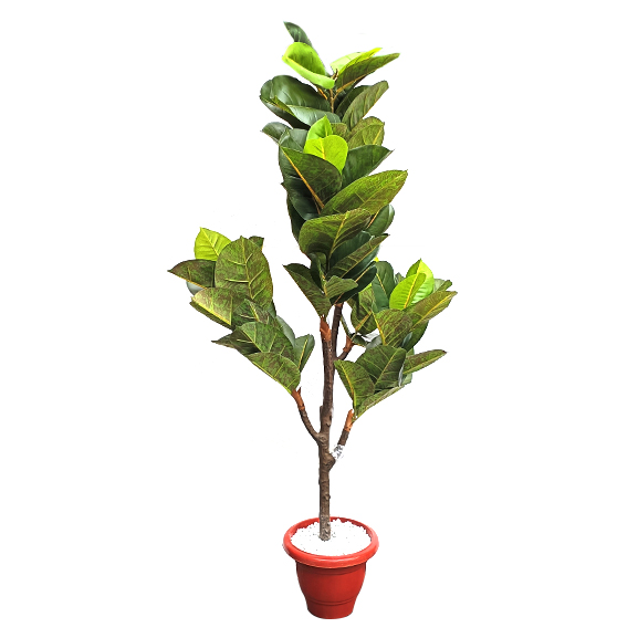 Artificial Rubber Plant for Home Decoration (150 cm)