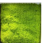 Moss Vertical Mat