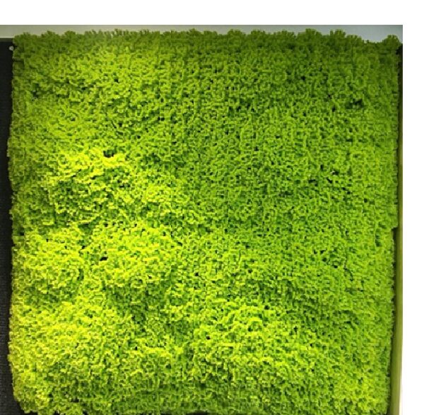 Moss Vertical Mat