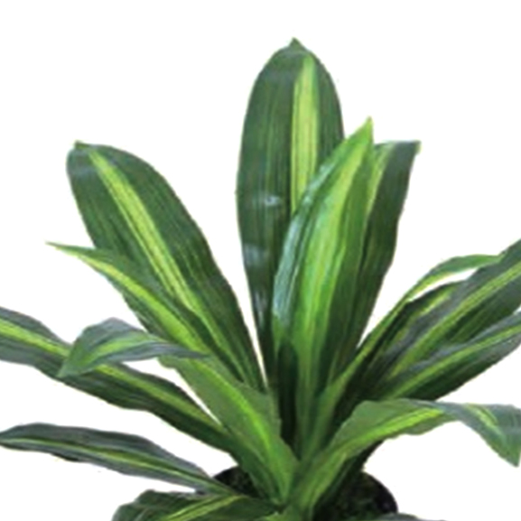 Artificial Dracaena Plants without Pot (40 cm)