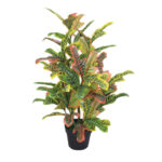 Elen Codiaeum Plant 90 cm