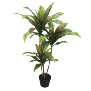 Artificial Draceana Plant 100 cm