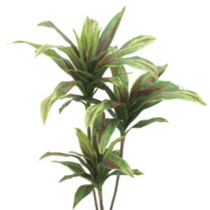 Artificial Dracaena Plant