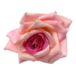 Artificial Pink Rose Loose Head