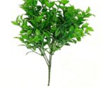 Green Ruscus Hoya Bella Leaf Bunch