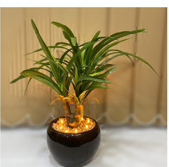 Artificial Dracaena Bonsai Plant