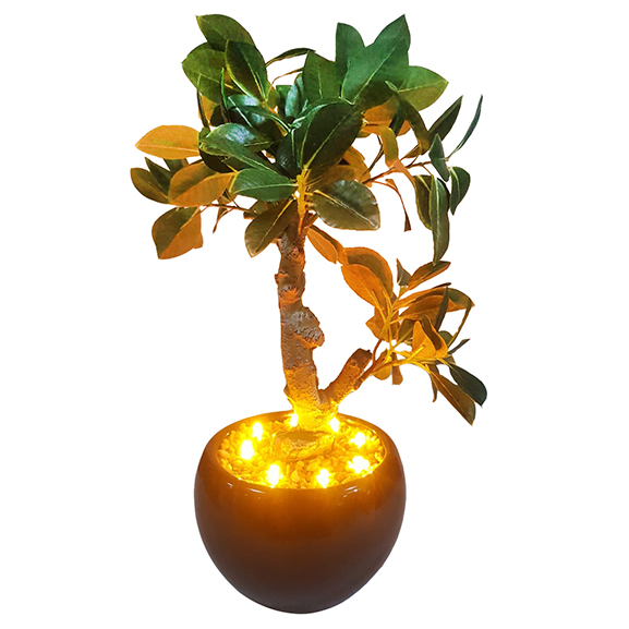 Artificial Green Ficus Bonsai