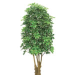 Elen Artificial Schefflera Plant 5.4 ft